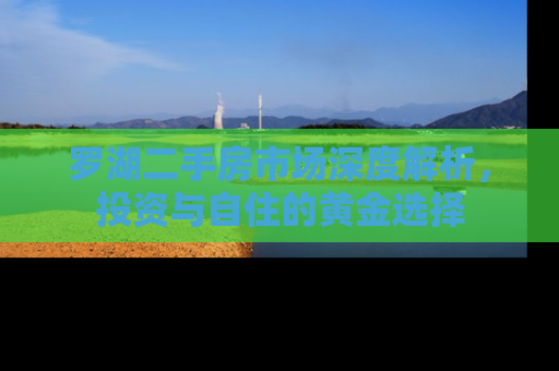 罗湖二手房市场深度解析，投资与自住的黄金选择