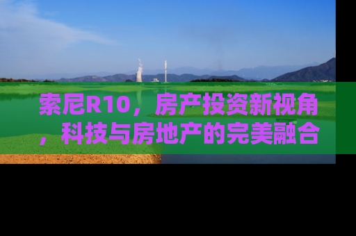 索尼R10，房产投资新视角，科技与房地产的完美融合
