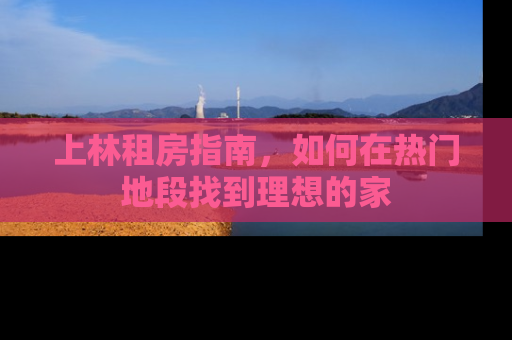 上林租房指南，如何在热门地段找到理想的家
