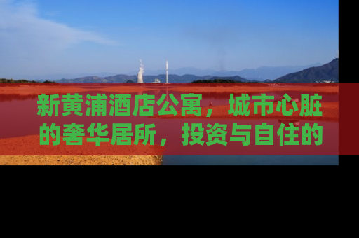 新黄浦酒店公寓，城市心脏的奢华居所，投资与自住的双重选择