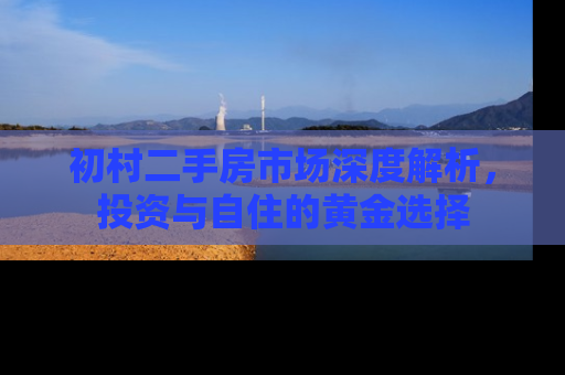 初村二手房市场深度解析，投资与自住的黄金选择