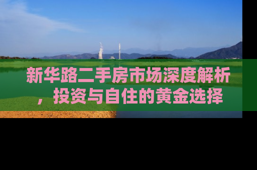 新华路二手房市场深度解析，投资与自住的黄金选择
