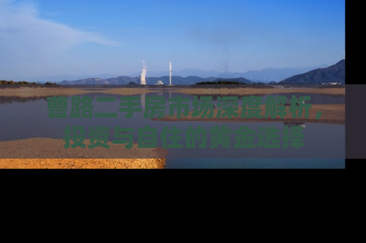 曹路二手房市场深度解析，投资与自住的黄金选择