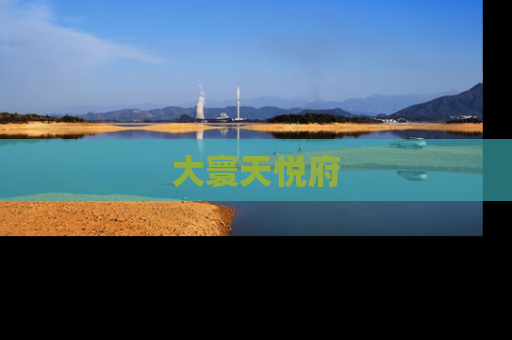 大寰天悦府
