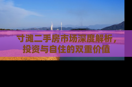 寸滩二手房市场深度解析，投资与自住的双重价值