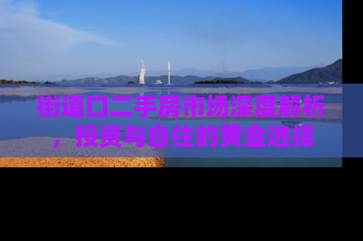 街道口二手房市场深度解析，投资与自住的黄金选择