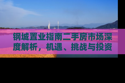 钢城置业指南二手房市场深度解析，机遇、挑战与投资策略