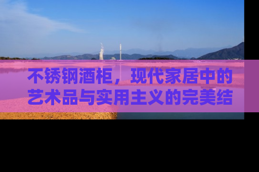 不锈钢酒柜，现代家居中的艺术品与实用主义的完美结合