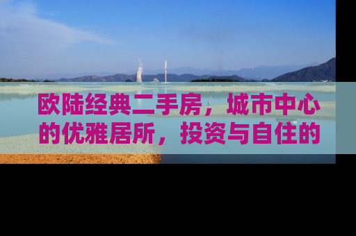 欧陆经典二手房，城市中心的优雅居所，投资与自住的理想选择