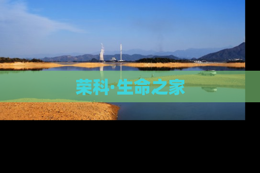 荣科·生命之家
