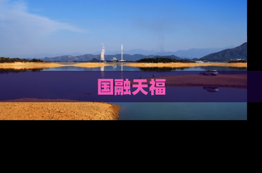 国融天福
