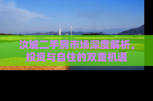 汝城二手房市场深度解析，投资与自住的双重机遇