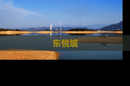 东悦城