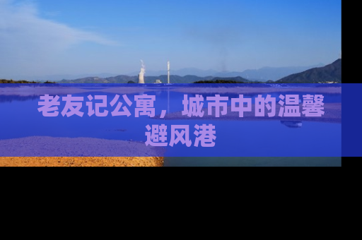 老友记公寓，城市中的温馨避风港
