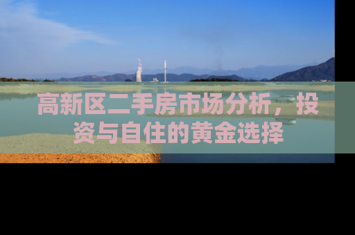 高新区二手房市场分析，投资与自住的黄金选择