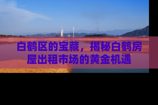 白鹤区的宝藏，揭秘白鹤房屋出租市场的黄金机遇