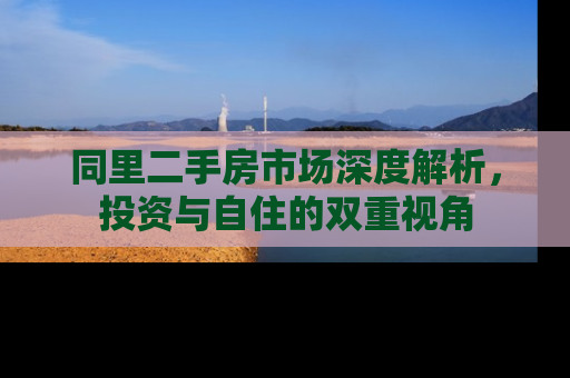 同里二手房市场深度解析，投资与自住的双重视角