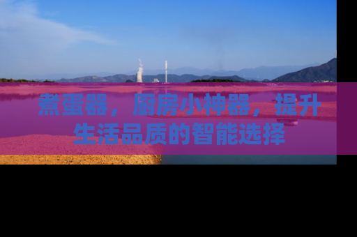 煮蛋器，厨房小神器，提升生活品质的智能选择
