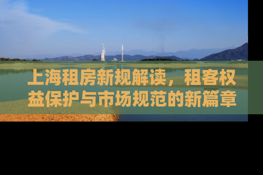 上海租房新规解读，租客权益保护与市场规范的新篇章