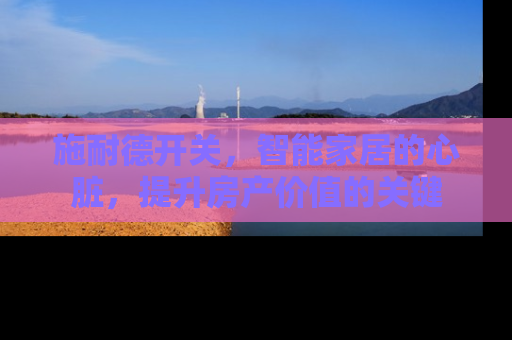 施耐德开关，智能家居的心脏，提升房产价值的关键