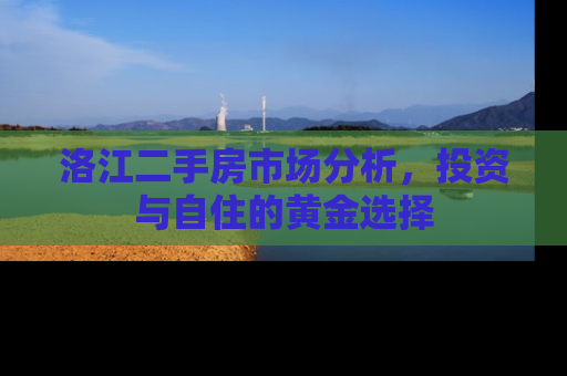 洛江二手房市场分析，投资与自住的黄金选择