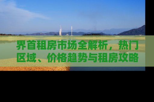 界首租房市场全解析，热门区域、价格趋势与租房攻略
