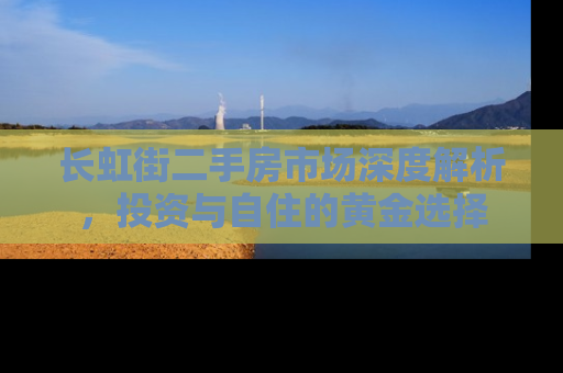 长虹街二手房市场深度解析，投资与自住的黄金选择