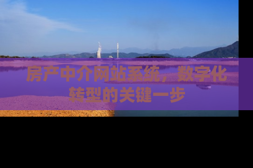 房产中介网站系统，数字化转型的关键一步