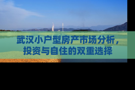 武汉小户型房产市场分析，投资与自住的双重选择
