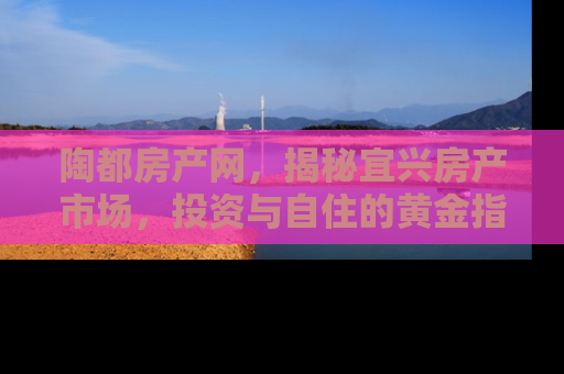 陶都房产网，揭秘宜兴房产市场，投资与自住的黄金指南
