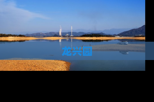 龙兴园