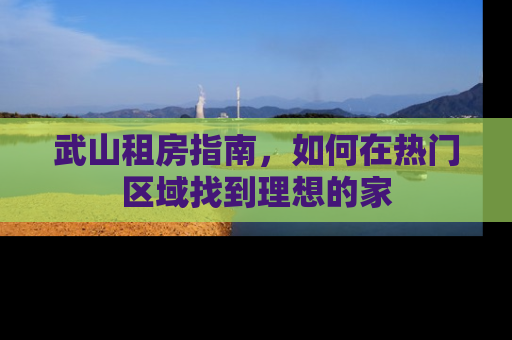 武山租房指南，如何在热门区域找到理想的家