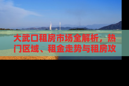 大武口租房市场全解析，热门区域、租金走势与租房攻略
