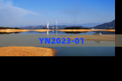 YN2023-01