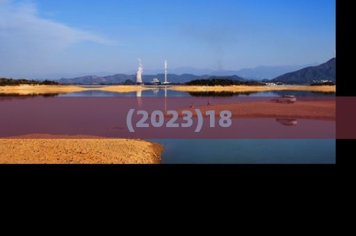 (2023)18