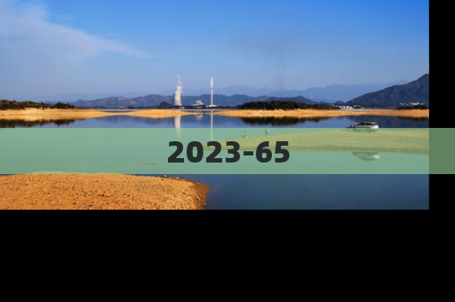 2023-65