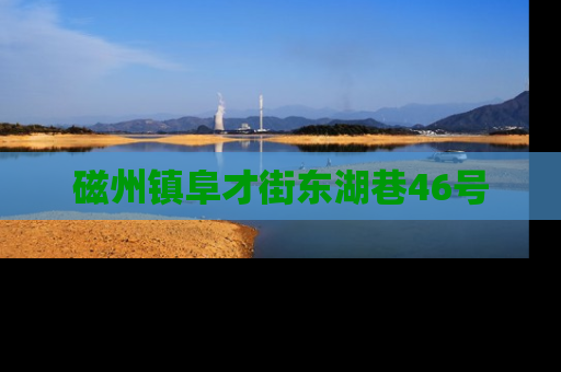 磁州镇阜才街东湖巷46号