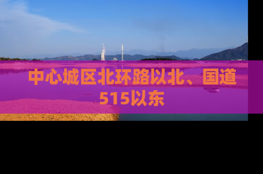 中心城区北环路以北、国道515以东