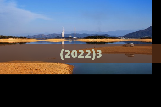(2022)3