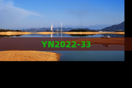 YN2022-33