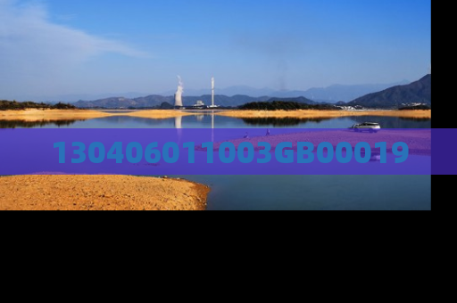 130406011003GB00019