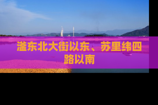 滏东北大街以东、苏里纬四路以南