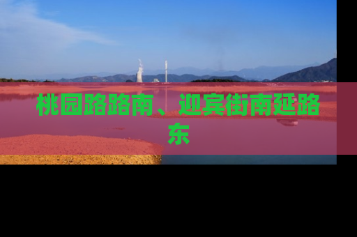 桃园路路南、迎宾街南延路东