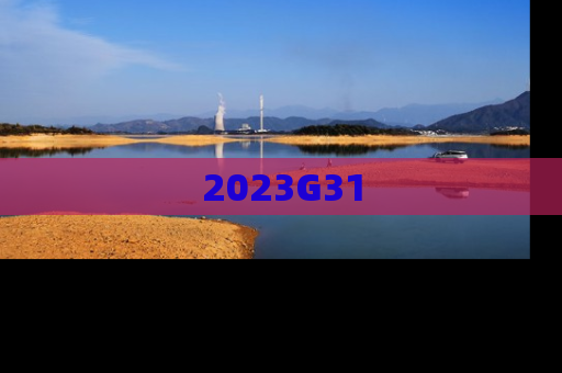 2023G31