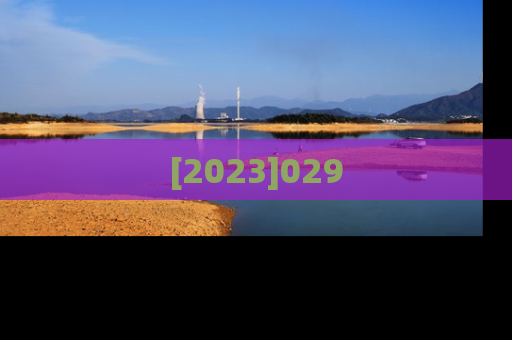 [2023]029