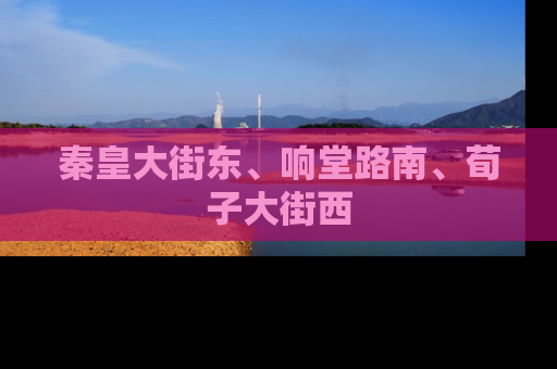 秦皇大街东、响堂路南、荀子大街西