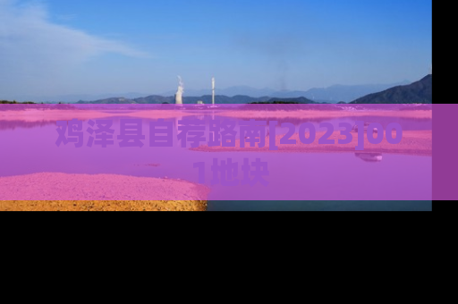 鸡泽县自荐路南[2023]001地块