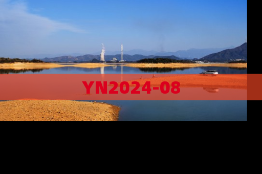 YN2024-08