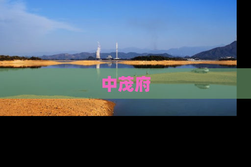 中茂府
