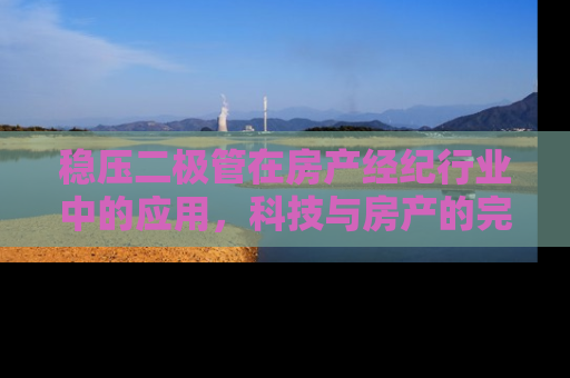 稳压二极管在房产经纪行业中的应用，科技与房产的完美融合